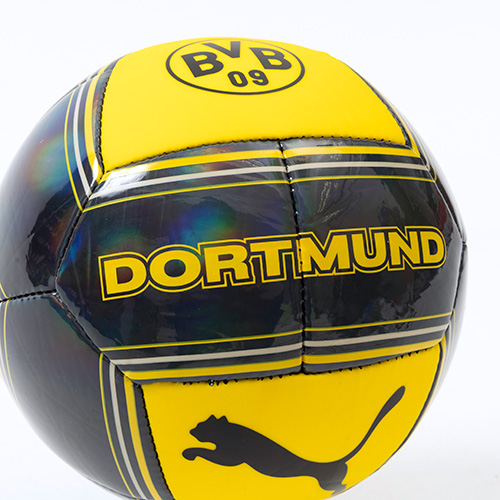 ドルトムント カルチャー ミニボール