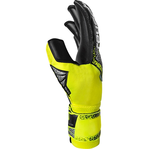 アトラクト ゴールドX エボリューション