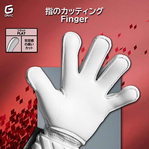 フォーカス6