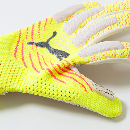 フューチャー アルティメット NC