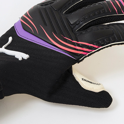 フューチャー プロ ハイブリッド