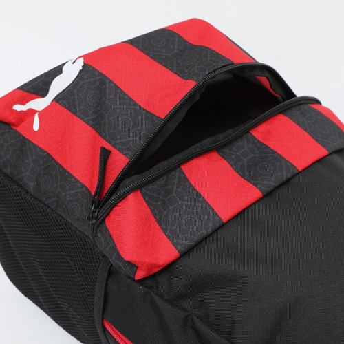 ACM FTBL CORE フェイズバックパ