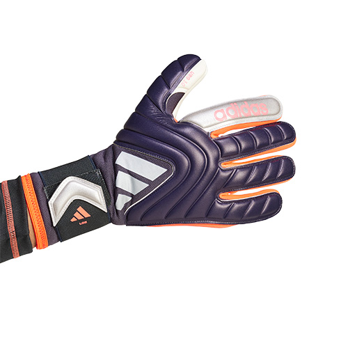 コパ GKグローブ League