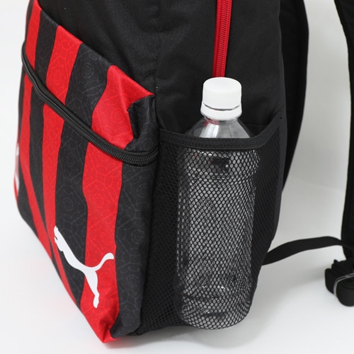 ACM FTBL CORE フェイズバックパ