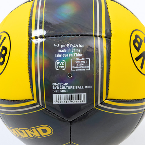 ドルトムント カルチャー ミニボール