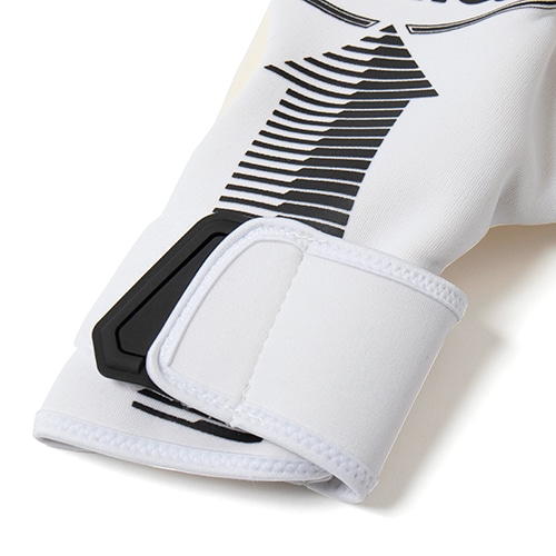 ロイシュアロー ゴールドX