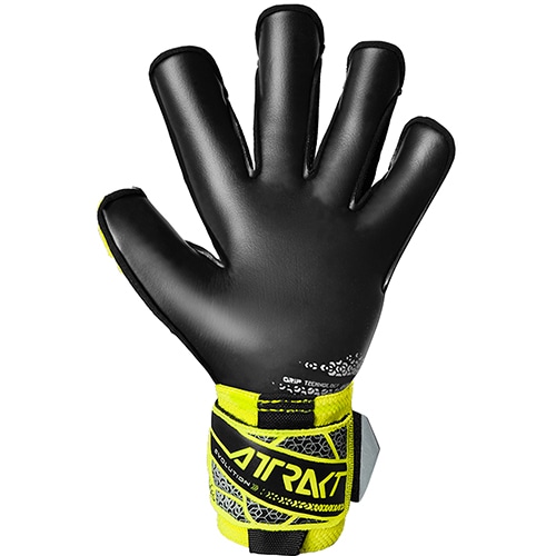 アトラクト ゴールドX エボリューション