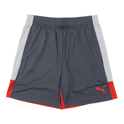 INDIVIDUALLIGA TR ショーツ