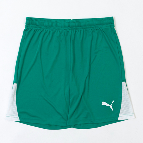 TEAMLIGA26 ショーツ