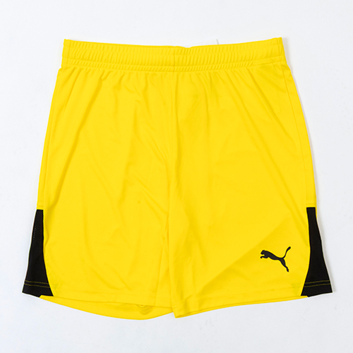 TEAMLIGA26 ショーツ