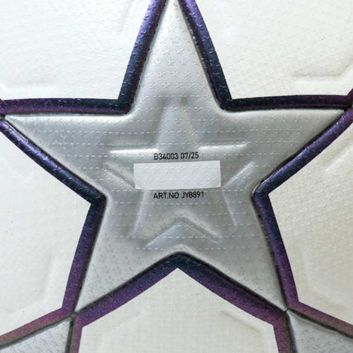 フィナーレ 25周年 プロ