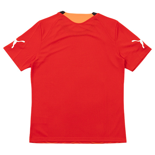 INDIVIDUALFINAL 半袖シャツ