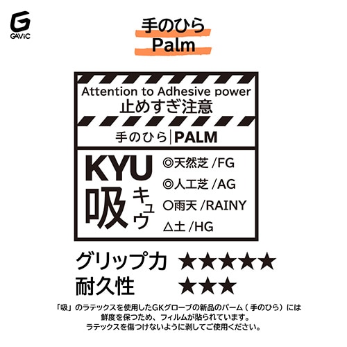 マトゥー イノベーティブ プロ