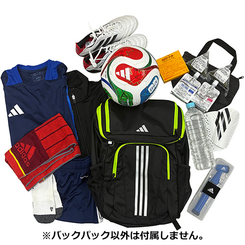 ボール用デイパック 27L