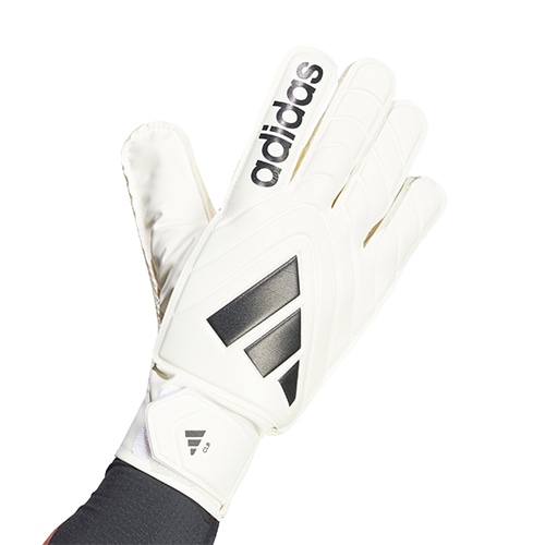 コパ GKグローブ クラブ