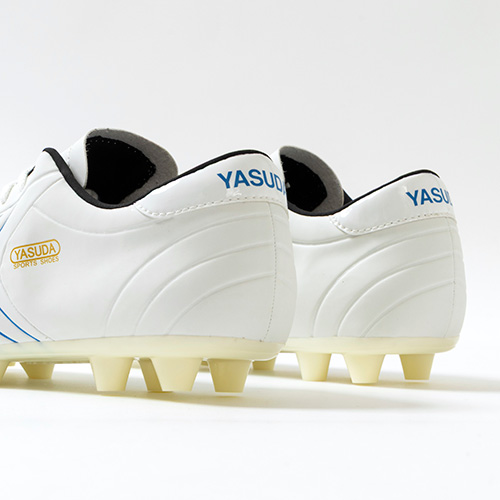 リガレスタ Pro-aw