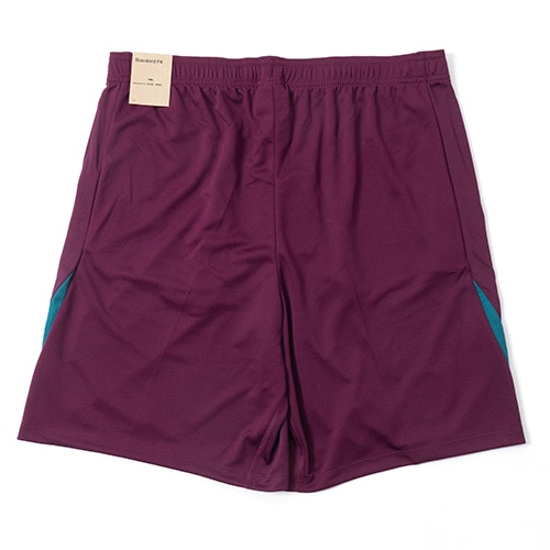 24-25 パリSG ストライクショーツ