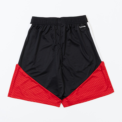 ドイツ代表 TIRO26 トレーニングショーツ