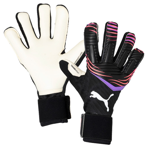 フューチャー プロ ハイブリッド