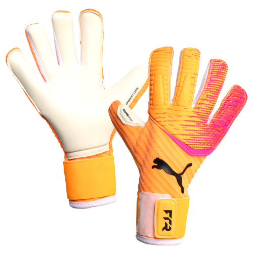 フューチャー プロ ハイブリッド