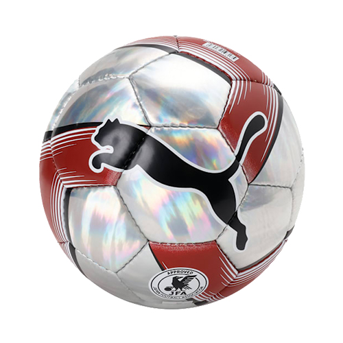 PRESTIGE グラフィックボール HS 4号球