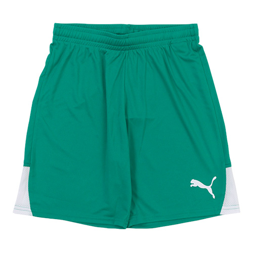 ジュニア TEAMLIGA26 ショーツ