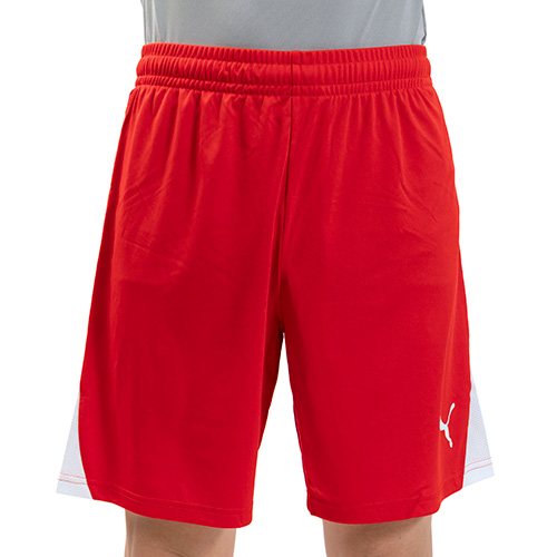 TEAMLIGA26 ショーツ