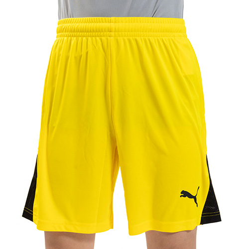 TEAMLIGA26 ショーツ