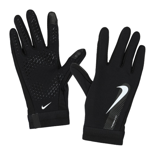 アカデミー グローブ