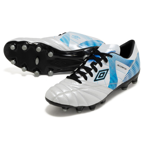 アクセレイター F-LASH V3 HG