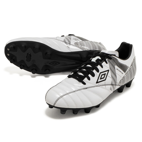 アクセレイター HG