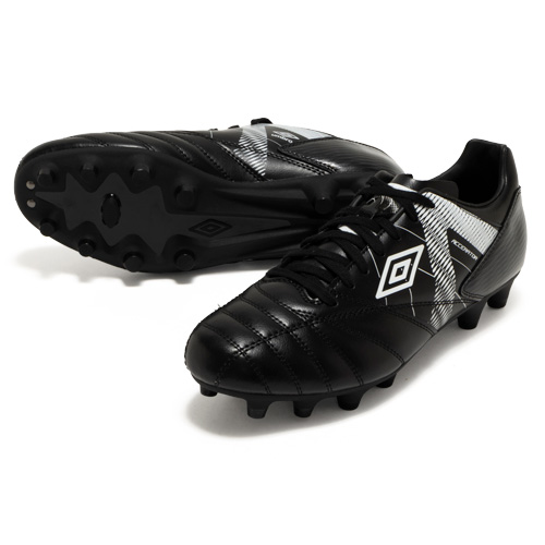 アクセレイター HG