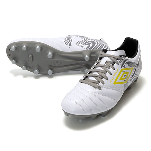 アクセレイター +GAINA HG