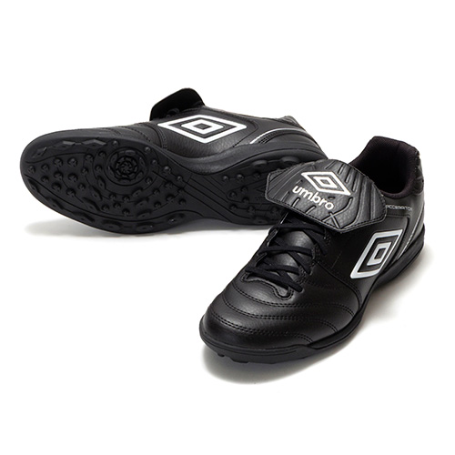 アクセレイターTR LT WIDE