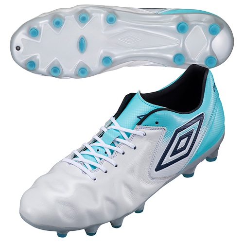 ACR ｼ-ﾃｲ- LE HG