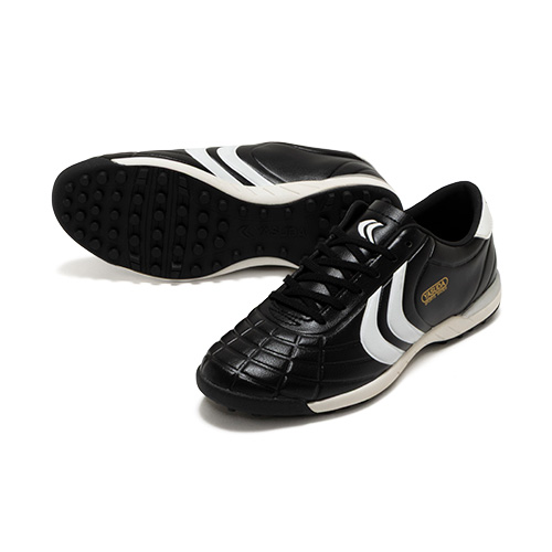 リガレスタ TF Jr.