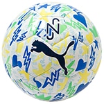 NJR INS. グラフィック ボール 5号球