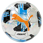 PUMA オービタ 5 HS 5号球