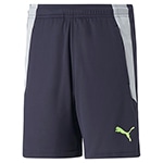 TEAMLIGA トレーニングショーツ JR