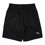 ウーブンショーツ 9インチ