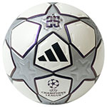 フィナーレ 25周年 プロ