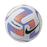 アカデミー 4号球