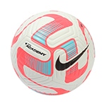 アカデミー 4号球