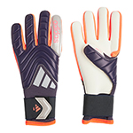 コパ GKグローブ League