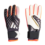 コパ Pro プロモ GKグローブ