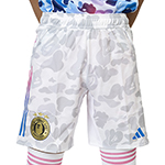 BAPE FB ショーツ