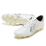 リガレスタ Pro-ex2