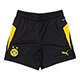ジュニア 25-26 ドルトムント TR ショーツ