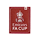 【納期1週間】CUP戦 FA CUP BADGE WINNERS 8