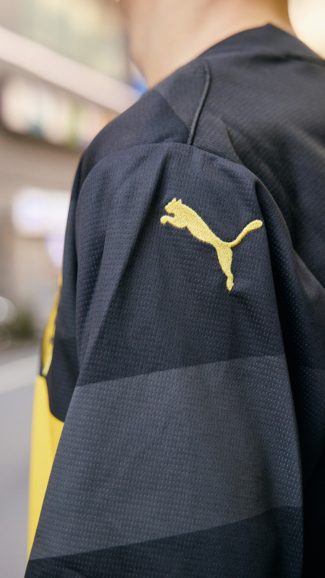 ボルシア・ドルトムント